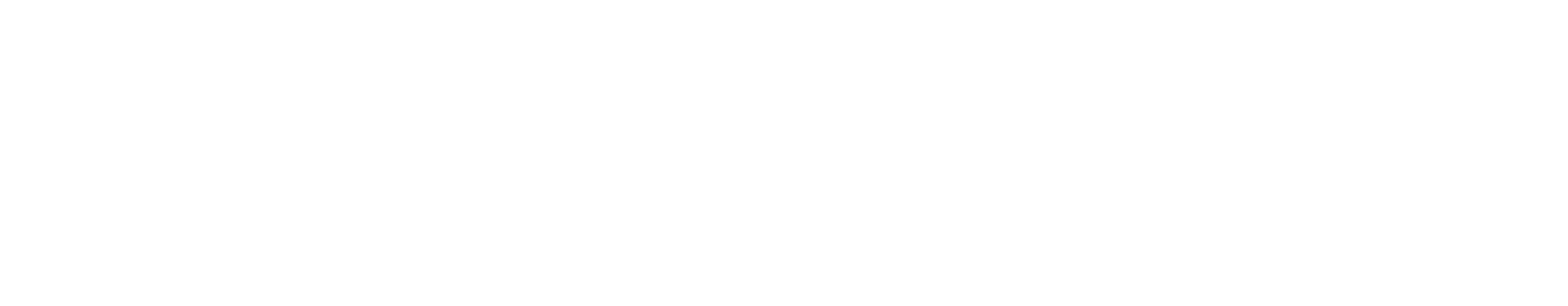 Investors in Diversity Bronze